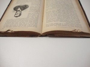 Клейн . Астрономические вечера.1898г.