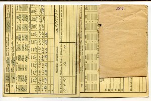 Интересные фотографии - маршал...