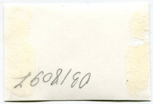 Летчицы 46-го гв. женского авиаполка ГСС: Распопова, Гашева