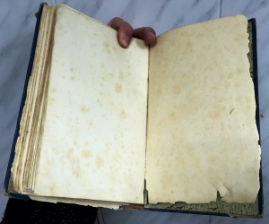 Руководство к хозяйству и домоводству. Интересная книга..
