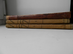 История Русской словесности-3 книги
