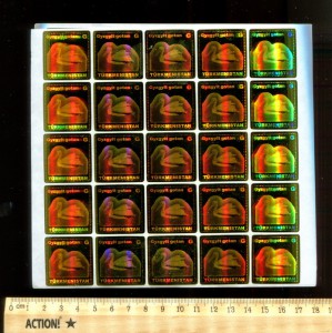 Фауна Туркменистана 2008 Пеликан Лист 25 марок