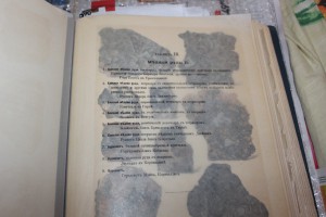 Царство Минералов 1906 год