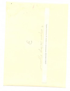 съезд ДОСААФ, Будёный