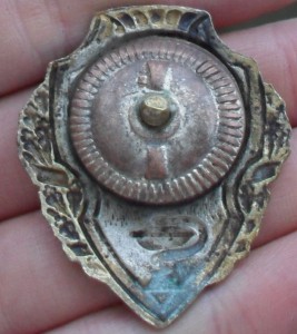 Отличник санитарной службы