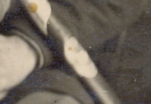 За отличную рубку, БКЗ РСФСР.Три фотографии