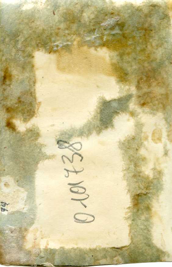 Морские пехотинцы осматривают береговое орудие финск.армии.