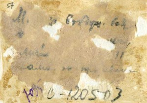 Лётчик майор П.И.ДОРОНИН. 2 Приб.фронт. 1944 г.