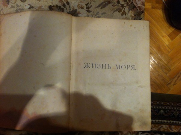 Келлер К. Жизнь моря С.-Петеррбургъ. 1905