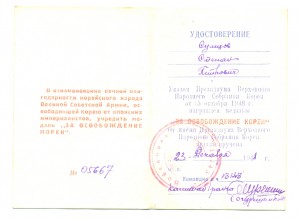 Корея в сборе с доком (5028)