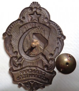 Служебный нагрудный знак Сельский исполнитель.