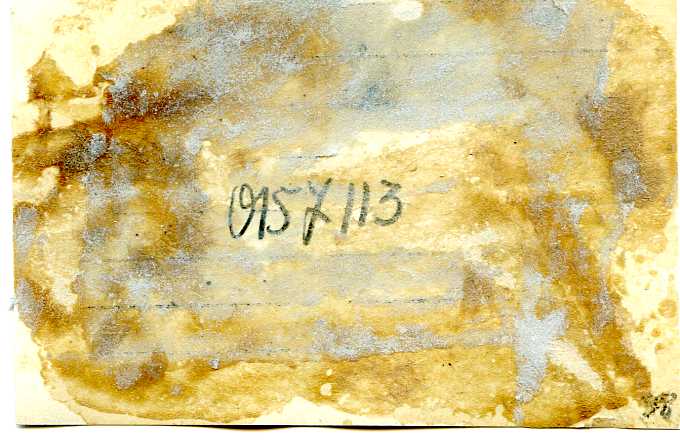 Краснофлотцы ведут огонь. Севастополь. 1942 г.