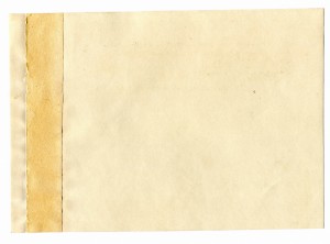 И.В. Сталин и почётный караул.