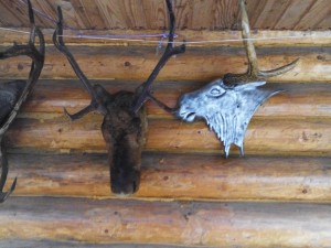 РОГА
