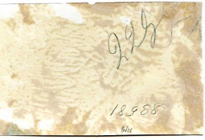 Курсанты Ак.моториз.и механиз.РККА на вып. параде.М.1935 г.