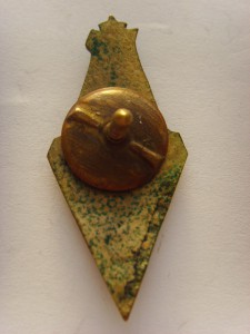 ГДОИФК 1955г.