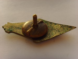 ГДОИФК 1955г.