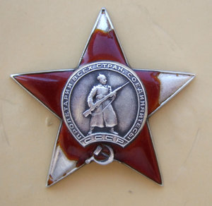 КЗ 277093 раненая.