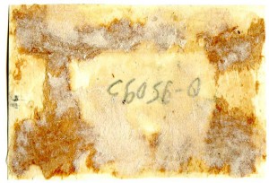 ТРОФЕИ Советской Армии (2). Тема будет пополняться.