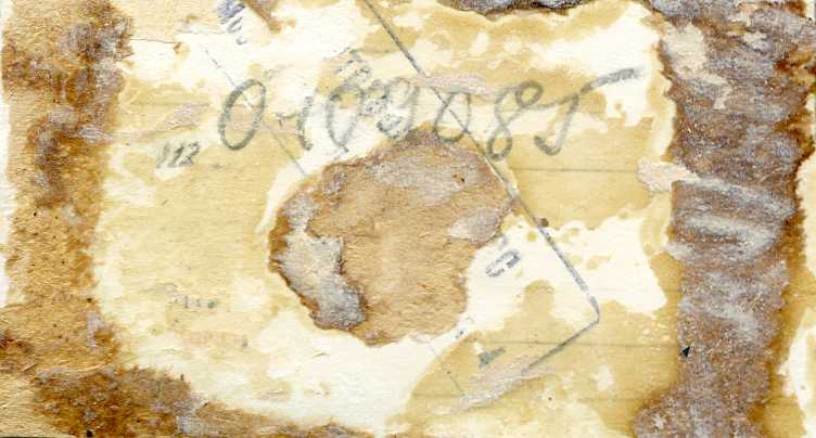 Майор Луи Дельфино и нач.штаба майор И.Вдовин. 1945 г. ТАСС.