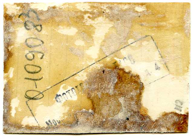 Майор Луи Дельфино и нач.штаба майор И.Вдовин. 1945 г. ТАСС.