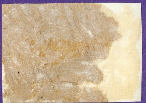 Быв.матросы кр. "Варягъ" возлагают венок на могилу Руднева.