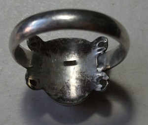 6 колец + знак III РЕЙХ