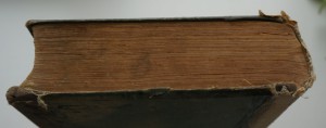 Е.Молоховец. "Подарок молодым хозяйкам". 1907 г.