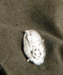 Чекист со знаком + Наш ответ Чемберлену + газета 1928