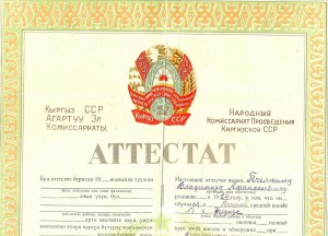 ВЮА с доками