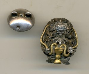 Медик, фрачник, состояние (2013)