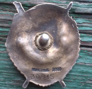 БКЗ Винтовой