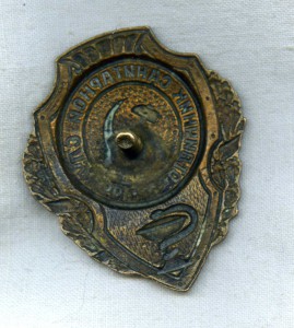 Отличник санитарной службы