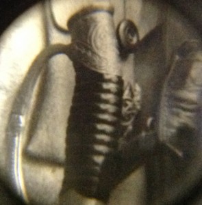 Красные командиры и военспецы