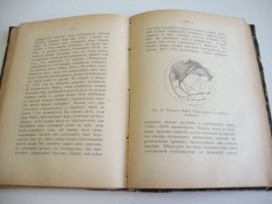 Астрономические вечера.1897г. Клейн.
