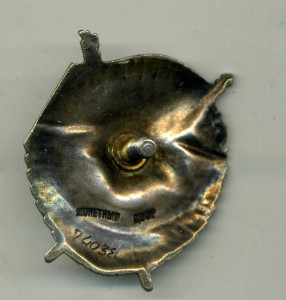 БКЗ винт 74038