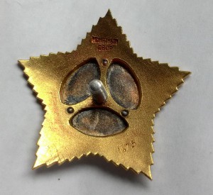 Орден Суворова 2-ой ст. №1675.