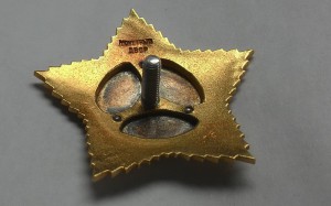 Орден Суворова 2-ой ст. №1675.