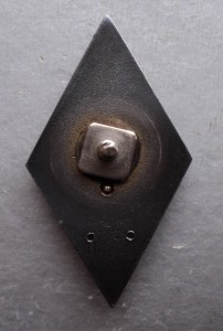 Серебряный ромб академии.