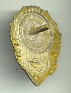 Отличник санитарной службы, люкс.