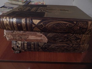 Прошу оценить книги 1896 г Мужчина и Женщина 3 тома