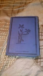 Н.С. Лесков 1903г