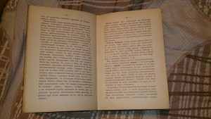 В.МИНТО ЛОГИКА 1905г
