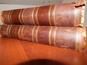 Прошу оценить книги 1903 г Жизнь растений 2 тома