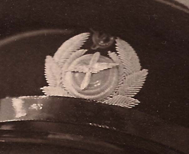 Супер кокарда! Летчик.