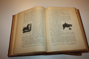 Книга о лошади. 2 тома. Врангель