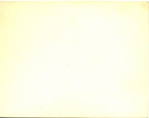 Генерал Федюнинский среди офицеров