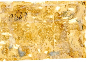 Генерал польской дивизии им.Костюшко БЕРЛИНГ. 1944 г.