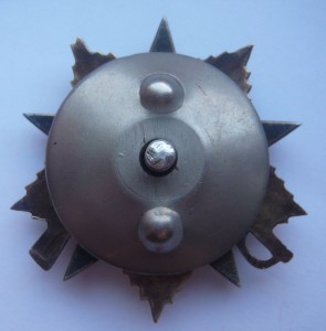 ОВ1 на поляка подполк. из дивизии им." Т.Костюшко" за Берлин