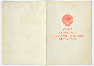 За оборону Киева.Лаухина